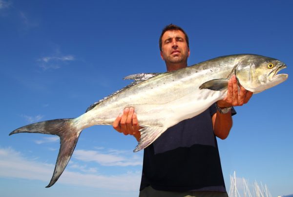 Franchising is like Fishing - Postcard Portables